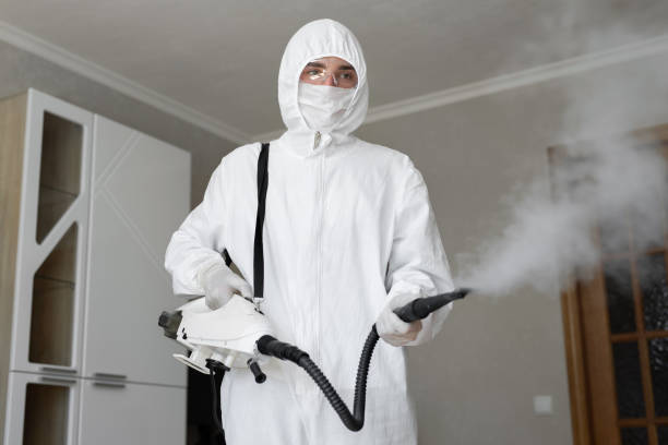 Best Mold Odor Removal Services  in New Braunfels, TX